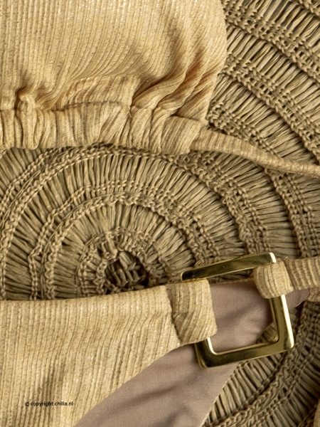 Bikini Triangle Shiny Gold Texture Special Edition