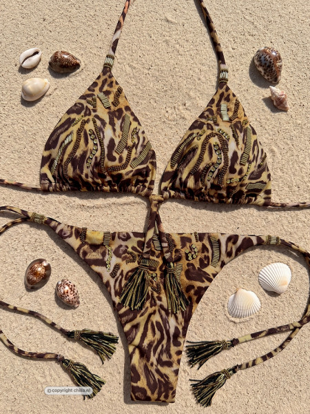 Bikini Electric Jaguar van Specials